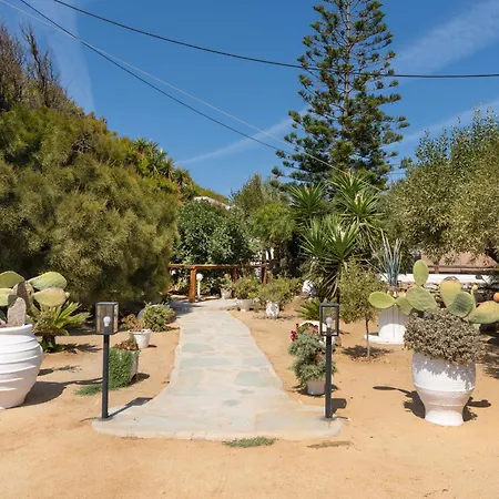 Sunrock - Gerani 3*